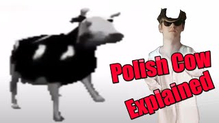 Dancing Polish Cow Explained [upl. by Adikram]