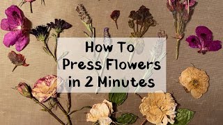 How to press flowers in 2 minutes in your microwave [upl. by Ecyak]