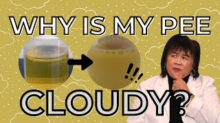 Why Is My Urine Cloudy [upl. by Ponton]