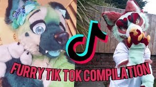 Furry Tik Tok Compilation [upl. by Leahci]