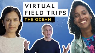 Virtual Field Trip  The Ocean [upl. by Valida786]