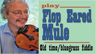 Flop eared mule fiddle lesson [upl. by Calabresi]