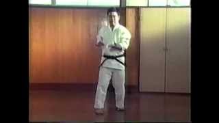 Okinawan GojuRyu Karatedo Katas Higaonna Sensei [upl. by Labaw]