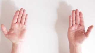 Instruction Videos for Obvious Things Clapping Hands [upl. by Annaerdna]