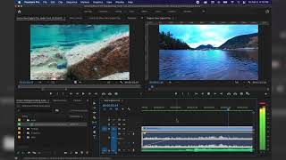 How to Add and Edit Audio in Premiere Pro [upl. by Baxy863]