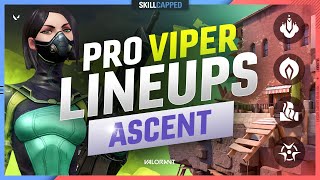 The BEST PRO VIPER LINEUPS SPOTS amp SETUPS for ASCENT [upl. by Onfroi]