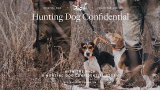 Rabbit Hunting with Beagles  With the Pack [upl. by Tenej]