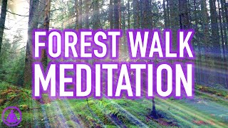 Guided Forest Walk Meditation  Calming and Relaxing Mindfulness Activity [upl. by Nyrek]