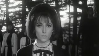 Ya Zahrat alMadain English Translation – Rare Music Video 1967 – Fairuz Song for Palestine [upl. by Helman]