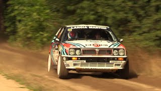 Hellendoorn Rally 2022  Highlights HD [upl. by Shaff]