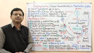 Diabetes Mellitus Part10 Mechanism of Action of Sulfonylurease  Antidiabetic Drugs  Diabetes [upl. by Hannah]