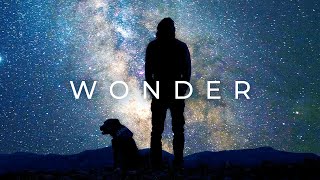 Alan Watts  Wonder [upl. by Nolyar]