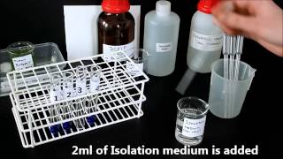 Photosynthesis in chloroplasts Hill Reaction [upl. by Scheck13]