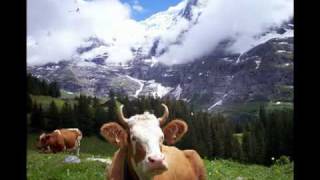 Berner Oberland Anthem Vogellisi [upl. by Darees]