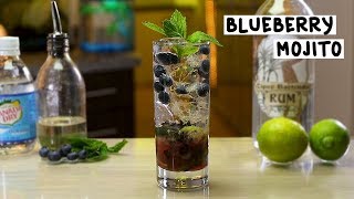 Blueberry Mojito  Tipsy Bartender [upl. by Cally36]