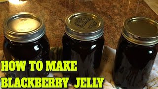 BLACKBERRY JELLY  STEP BY STEP  EASY…DELICIOUS RECIPE [upl. by Floro]