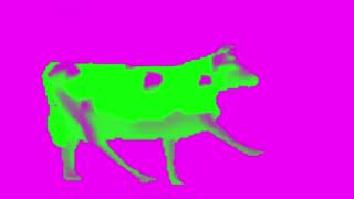 Polish Cow slowed  reverb [upl. by Riti]