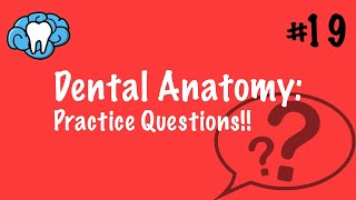 Dental Anatomy  PRACTICE QUESTIONS  INBDE [upl. by Wyck]