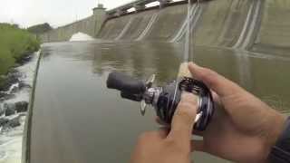 Saugeye and Buffalo Carp Fishing at Hoover Dam [upl. by Crofoot444]