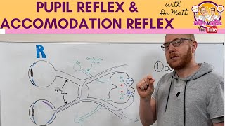 Pupillary Assessment Technique for Ophthalmic Technicians [upl. by Nnayhs]