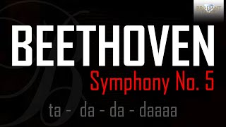 Beethoven Symphony No 5 [upl. by Alonso]