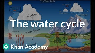 The water cycle  Ecology  Khan Academy [upl. by Chrissa]