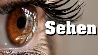 Sehen  Sehvorgang schnell erklärt [upl. by Ardnahcal]