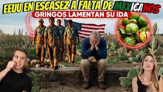 EN ESTADOS UNIDOS SE PUDRE LA COMIDA SIN MEXICANOS  GRINGOS DESESPERADOS PORQUE REGRESEN MIGRANTES [upl. by Rehttam]