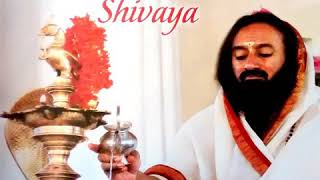 Om Namah Shivaya Chants  Gurudev Sri Sri Ravi Shankar [upl. by Vitoria94]