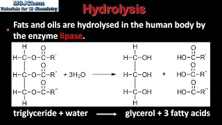 B3 Hydrolysis of lipids SL [upl. by Iniretake]