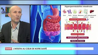 COMMENT LINTESTIN CONTRÔLE NOTRE SANTÉ [upl. by Naldo596]