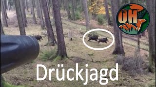 DRÜCKJAGD I Wildschweine unerwartet [upl. by Harrus605]