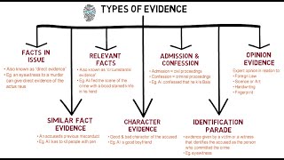 Evidence  Chapter 1 Types of Evidence CLP [upl. by Rhee]