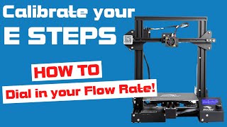 Section 18 ESteps and Flow Rate [upl. by Towne151]