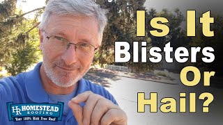 Whats The Difference Between Blisters And Hail Damage [upl. by Milka]