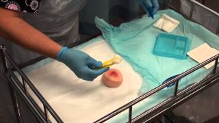 Wound Management  Basic Dressing [upl. by Honeyman]