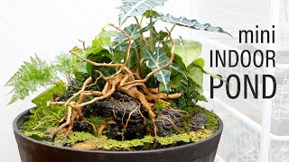 INCREDIBLE Mini Indoor DIY Pond Patio Pond [upl. by Oileduab230]