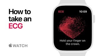 Apple Watch Series 4 — How to take an ECG — Apple [upl. by Carney]