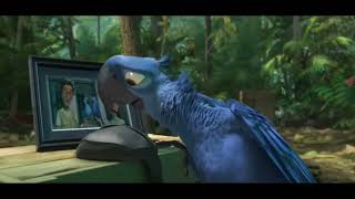 Rio 2  at the camping site [upl. by Wilt]