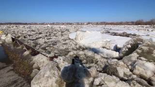 Maumee River Ice Flow 2015 [upl. by Narcis323]