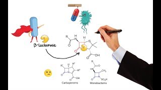 Pharmacology – ANTIBIOTICS – CELL WALL amp MEMBRANE INHIBITORS MADE EASY [upl. by Torrence830]