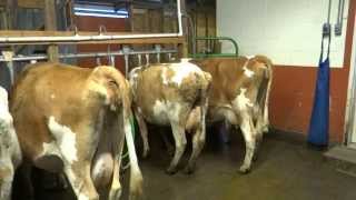 Old Silvana Creamery raw milk dairy Silvana Washington part 1 [upl. by Mandy]