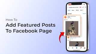 How To Add Featured Posts To Facebook Page [upl. by Reina]