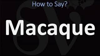 How to Pronounce Macaque CORRECTLY [upl. by Saxon]