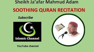 Soothing Quran Recitation by Sheikh Jaafar Mahmud Adam [upl. by Stoddart656]