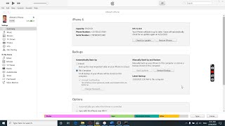 Backup Now Hidden or Greyed out on iTunes  Solved on Windows 10 [upl. by Htez]
