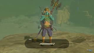 How To Get Heat Resistance Gear In Zelda Breath Of The Wild [upl. by Lydon687]