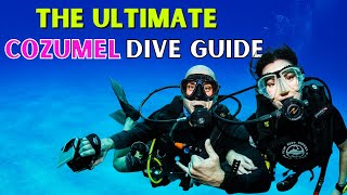 Where to Scuba Dive in Cozumel ULTIMATE DIVE GUIDE [upl. by Norman]