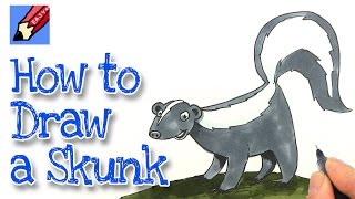 How to draw a Skunk Real Easy [upl. by Angelique709]