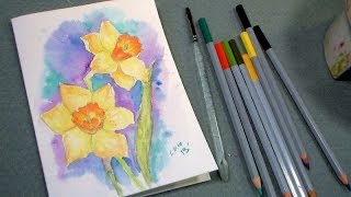 daffodil watercolor pencil tutorial [upl. by Ernestine]